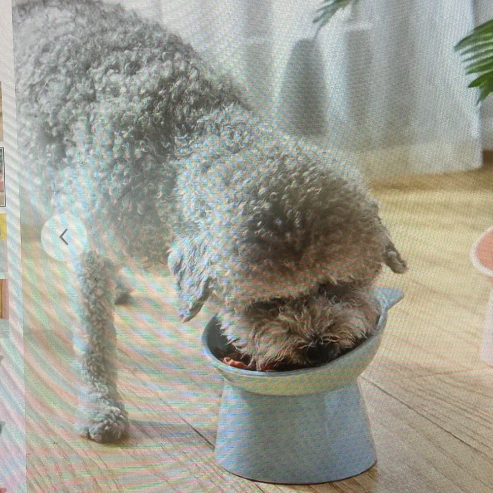 NWT DOG OR CAT DURABLE ELEVATED BOWL